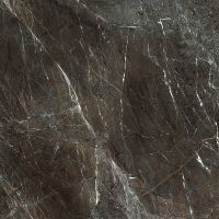 Paradyż Tosi płytka ścienno-podłogowa 59,8x59,8 cm brązowy poler