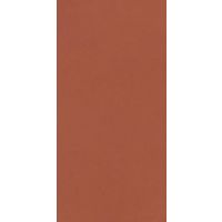 Paradyż Neve płytka ścienna 19,8x9,8 cm ceglasta