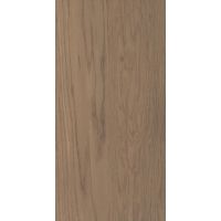 Paradyż Amiche płytka ścienna 30x60 cm brązowa