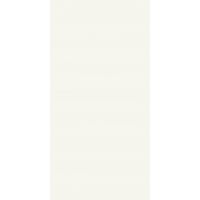 Paradyż Modul płytka ścienna 30x60 cm biała
