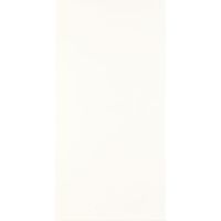 Paradyż Porcelano Bianco płytka ścienna 30x60 cm