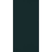 Paradyż Porcelano płytka ścienna 30x60 cm zielona