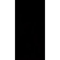 Paradyż Synergy płytka ścienna 30x60 cm czarny połysk