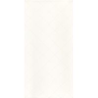 Paradyż Tonnes płytka ścienna 30x60 cm kratka biały poler