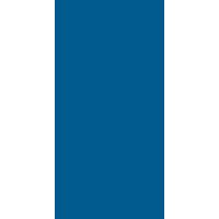 Paradyż Vivida płytka ścienna 30x60 cm niebieski poler
