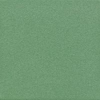 Tubądzin Mono zielone R płytka podłogowa 20x20 cm