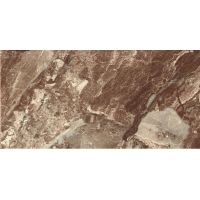 Euroceramic Danae Marron płytka ścienna 50x25 cm