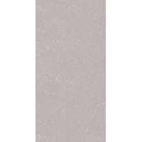 Paradyż Moondust Silver płytka ścienno-podłogowa 59,8x119,8 cm