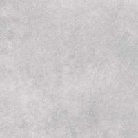 Paradyż Uniwersalne P U117 Grey płytka ścienno-podłogowa 59,8x59,8 cm
