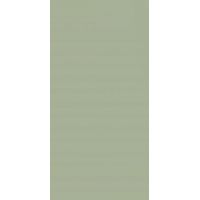 Paradyż Feelings Green płytka ścienna 29,8x59,8 cm zielony mat