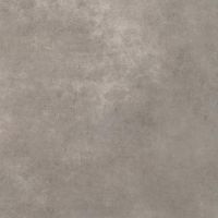 Paradyż Magnetik płytka ścienno-podłogowa 59,8x59,8 cm szara