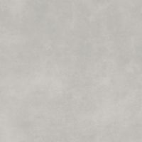 Paradyż Architeq Light Grey płytka ścienno-podłogowa 119,8x119,8 cm szara
