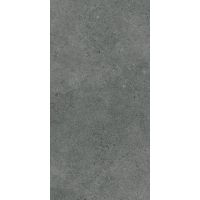 Paradyż Authority Graphite płytka ścienno-podłogowa 60x120 cm szary mat