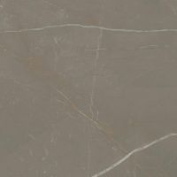 Paradyż Linearstone Taupe płytka ścienno-podłogowa 59,8x59,8 cm brązowy mat