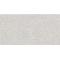 Ceracasa Coralina płytka ścienno-podłogowa 120x60 cm szara