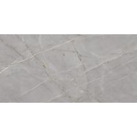 Ego Ceramics Royal Valencia Grey płytka ścienno-podłogowa 60x120 cm