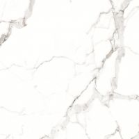 Ego Ceramics Atlanta Carrara płytka ścienno-podłogowa 60x60 cm