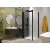 Sanplast Exa Line drzwi prysznicowe z profilem 100 cm uchylne czarny mat/szkło przezroczyste 600-540-0760-59-401