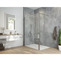 Sanplast Exa Line ścianka prysznicowa walk-in 60 cm srebrny połysk/szkło przezroczyste 600-540-1240-38-401