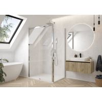 Sanplast Exa Line drzwi prysznicowe przesuwne D2/Exa Line-100 cm srebrny błyszczący/szkło przezroczyste 600-540-2500-38-401