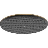 Hansgrohe Raindance Alive S deszczownica 30 cm okrągła brąz szczotkowany 24521140