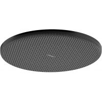 Hansgrohe Raindance Alive S deszczownica 30 cm okrągła czarny chrom szczotkowany 24521340