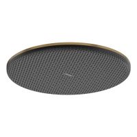 Hansgrohe Raindance Alive S deszczownica 30 cm okrągła brąz szczotkowany 24520140