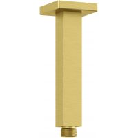 Kludi A-QA ramię prysznicowe 15 cm sufitowe złoty szczotkowany 66545N0-00