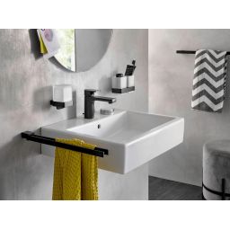 Emco Loft kubek do mycia zębów podwójny z uchwytem czarny/szkło satynowe 052513300