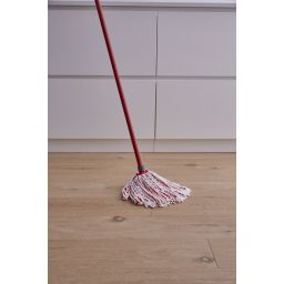 Vileda Microfibre and Power mop 160474