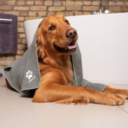 Vileda Pet Pro XL ręcznik dla zwierząt 172651