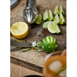 Zone Denmark Rocks nóż do owoców i warzyw stal 12217