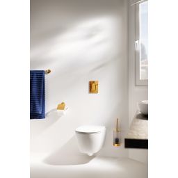 Grohe Selection szczotka toaletowa komplet ścienna cool sunrise 41076GL0