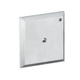 Hansgrohe iControl płytka do przepłukiwania 15956000