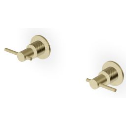 Zucchetti Helm bateria prysznicowa podtynkowa brytyjskie złoto szczotkowane/radełkowanie pionowe ZHL738.XP31G2