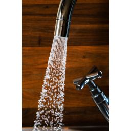 Pyramis perlator 099952201