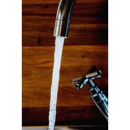 Pyramis perlator 099952201