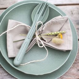 Koziol Club Plate talerz 22 cm zielony 4006668