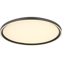 Globo Lighting Dublin plafon 1x48 W biały-szary 48802-48