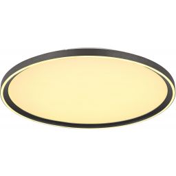 Globo Lighting Dublin plafon 1x48 W biały-szary 48802-48