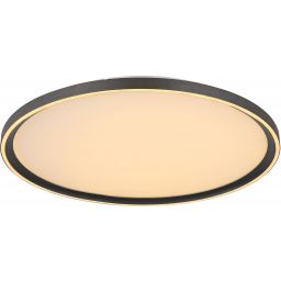 Globo Lighting Dublin plafon 1x48 W biały-szary 48802-48