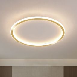 Abigali Modern plafon 1x36W LED złoty/biały MD1803-R50-Y-G