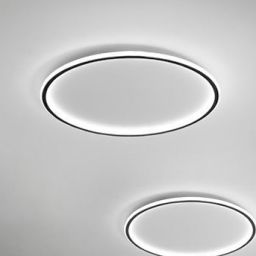 Abigali Modern plafon 1x36W LED czarny/biały MD1803-R50-Y