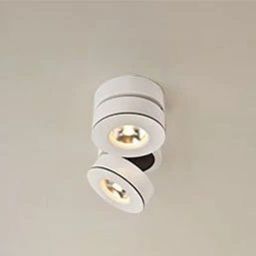 Abigali Commercial lampa podsufitowa 2x12W LED biała ONBL12WW-2
