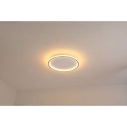 Abigali Modern plafon 1x36W LED złoty/biały MD1803-R50-Y-G