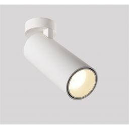 Abigali Posh lampa podsufitowa 1x12W LED biała LWQT-W-12-24WW-DIM