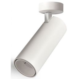 Abigali Posh lampa podsufitowa 1x12W LED biała LWQT-W-12-24WW-DIM