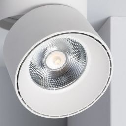 Abruzzo Estetica LED Romeo lampa podsufitowa 1x30 W LED biały ABR-LPR-30W-B-WW
