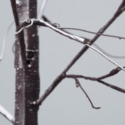 Abruzzo Christmas lampa stojąca 64x6,1W LED choinka drzewko brązowy ABR-LSCH-64