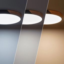 Abruzzo Lagio plafon 1x36 W czarny-drewno ABR-PLOG-C-40W